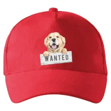 Zlatý retriever - štěně wanted