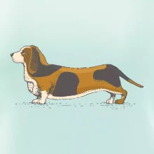 Vintage basset