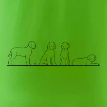 Lagotto romagnolo postavy linka