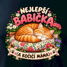 Nejlepší babička a kočičí máma spící zrzavý kocour