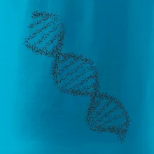 DNA černobílé DNA černobílé