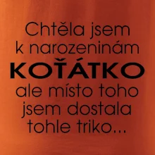 Chtěla jsem dostat k narozeninám koťátko
