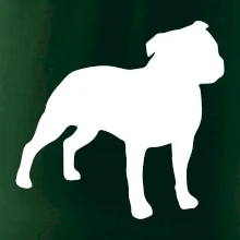 Americký stafordširský teriér  Na prsu