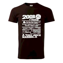 2008 v kostce