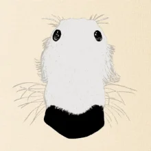 Barzoj čumák (Moňas)