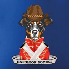 Napoleon domácí pes kříženec