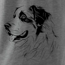 Bernský salašnický pes černá kresba