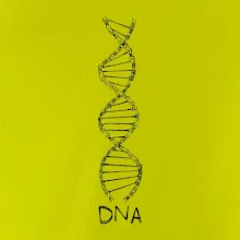 Cyklistovo DNA