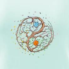 Yin & Yang strom - zima, léto