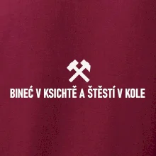 BINEĆ V KSICHTĚ A ŠTĚSTÍ V KOLE﻿