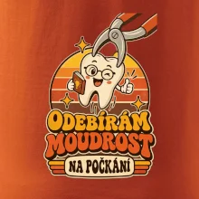 Odebírám moudrost na počkání