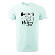 Harry - Hogwarts wasn’t hiring, so I teach Muggles instead