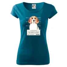 Lump a darebák bígl