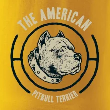 Americký pitbull terier hlava