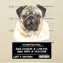 Lump a darebák mopsík