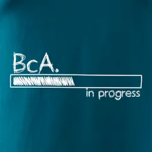 In progress  titul BcA. bakalář / bakalářka umění