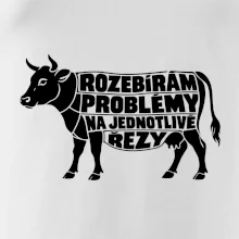 Rozebírám problémy na jednotlivé řezy