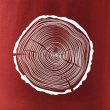 Letokruhy 45 bez věku