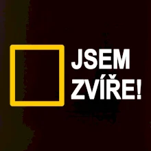 Jsem zvíře obdelník