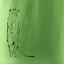 Surikata černá kresba