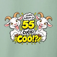 Těmhle holkám je 55, čučíš co?