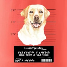 Lump a darebák labrador