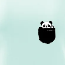 Panda v kapse