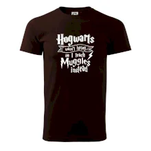 Harry - Hogwarts wasn’t hiring, so I teach Muggles instead