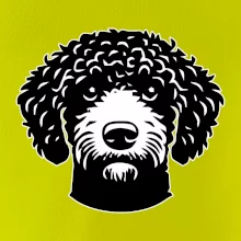 Lagotto romagnolo hlava na prsu