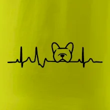EKG Francouzský buldoček hlava