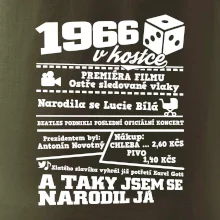 1966 v kostce