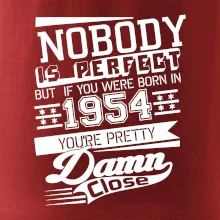 Nobody is perfect - 1954