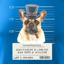 Lump a darebák francouzský buldoček