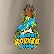 Hlavní kopyto týmu