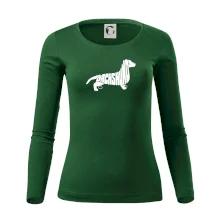 Jezevčík - Dachshund