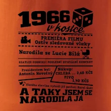 1966 v kostce