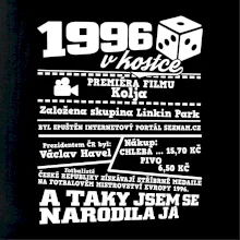 1996 v kostce