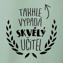 Takhle vypadá skvělý učitel