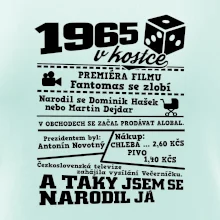1965 v kostce