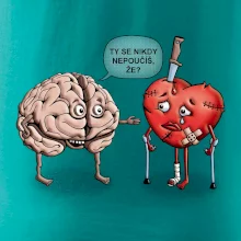 Mozek a srdce - poučení (Hana-creative)