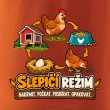 Slepičí režim od krmení po sběr vajec