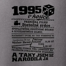 1995 v kostce
