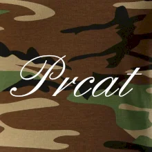 Prcat (souložit vulgárně)