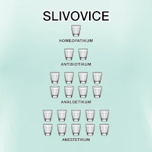 Slivovice počítání (Hana-creative)
