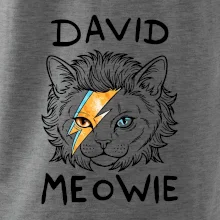 David Meowie