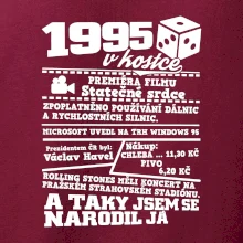 1995 v kostce