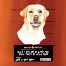Lump a darebák labrador