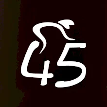 Cyklista slaví pětačtyřicítku (45)