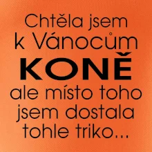 Chtěla jsem k Vánocům koně