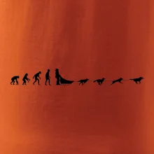 Evoluce psí spřežení